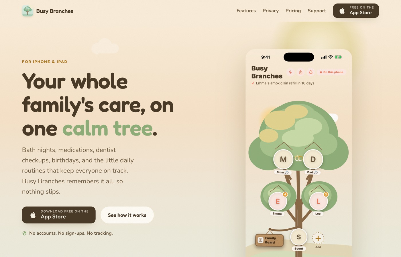 Busy Branches marketing website homepage